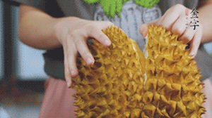 榴蓮剝好肉后，搗成泥狀。