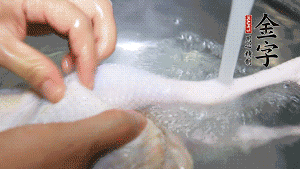 土雞處理干凈。（如果買(mǎi)不到土雞，一般的雞也是可以的，不過(guò)需要汆水。溫水下鍋汆燙7分鐘左右，汆燙時(shí)需要適時(shí)翻動(dòng)。汆燙雞肉是為了去掉生腥味，也是一次徹底清潔的過(guò)程，可以使燉出的湯清爽而不渾濁，鮮香而無(wú)異味）