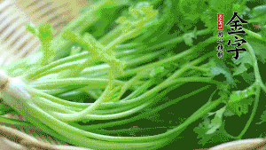 挑選鮮嫩的香菜，洗干凈后，處理成小段。