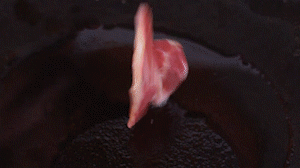 鍋中倒入橄欖油燒熱，放入淡火腿小火煸炒至打卷狀態(tài)。