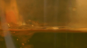 雞肉、鹽、料酒入冷水鍋水開后撇去浮沫，溫水洗凈。