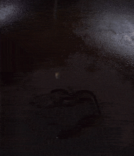 冷鍋熱油，下蒜片爆香，下香腸、玉米筍、蓮藕、西芹爆炒，期間加點(diǎn)水，翻炒1分鐘后加新鮮百合片，翻炒30秒。