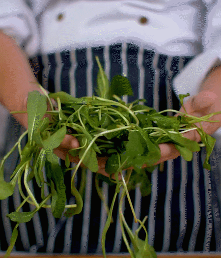 馬蘭頭焯水，切成細(xì)末。